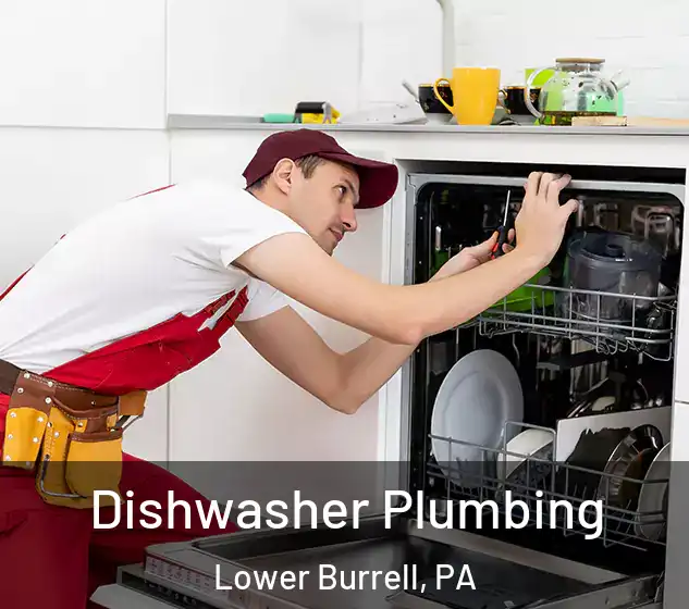  Dishwasher Plumbing Lower Burrell, PA