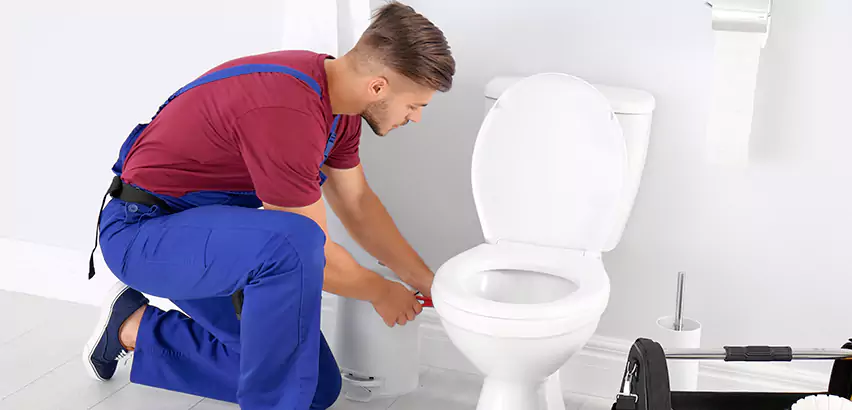 Scope of Bathroom Toilet Bowl Replacement Services in Lower Burrell, PA