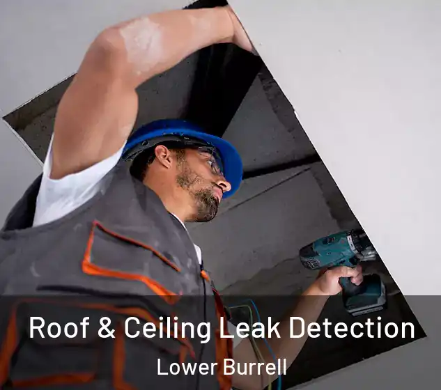  Roof & Ceiling Leak Detection Lower Burrell