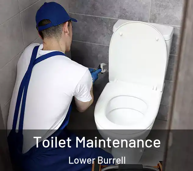  Toilet Maintenance Lower Burrell